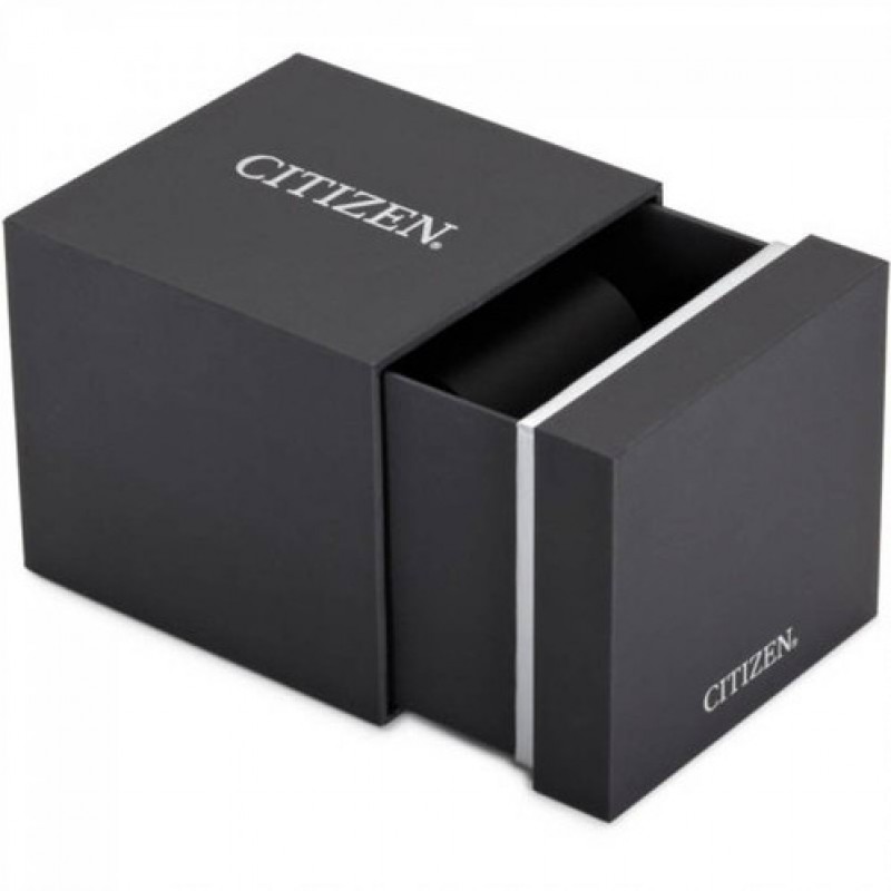 AT8113-12H AT8113-12H 手表 citizen