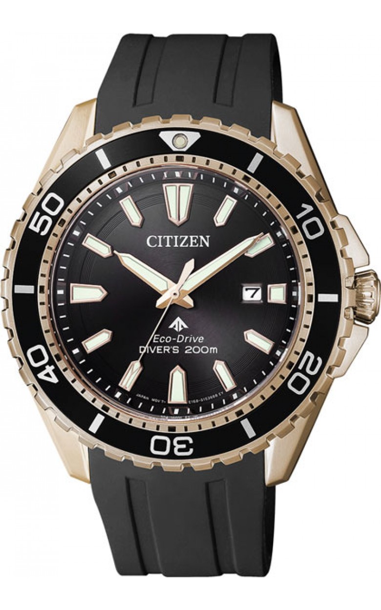 BN0193-17E  кварцевые наручные часы Citizen  BN0193-17E