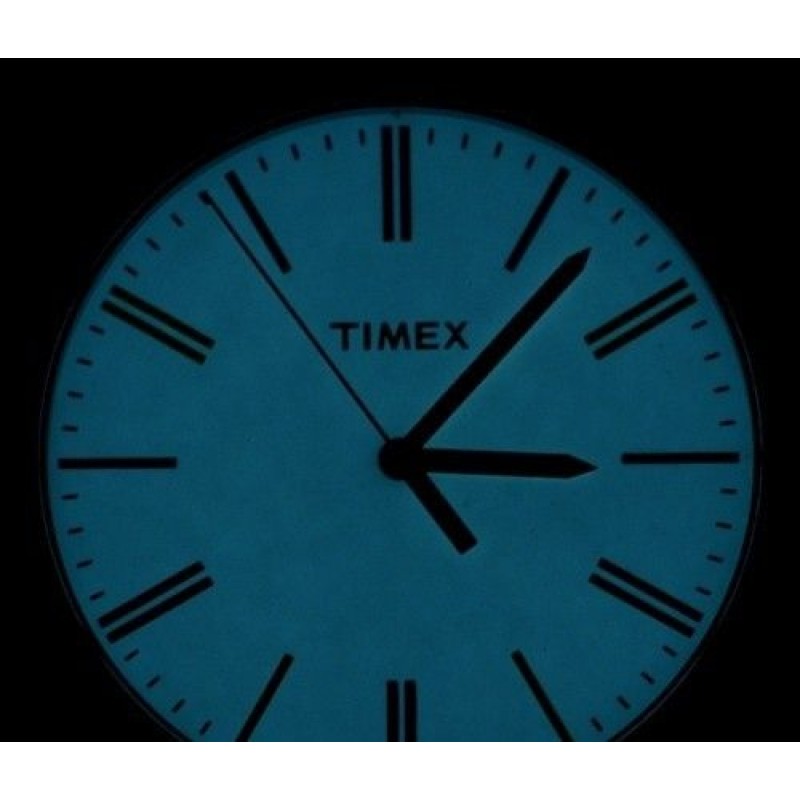 T2N791 Timex
