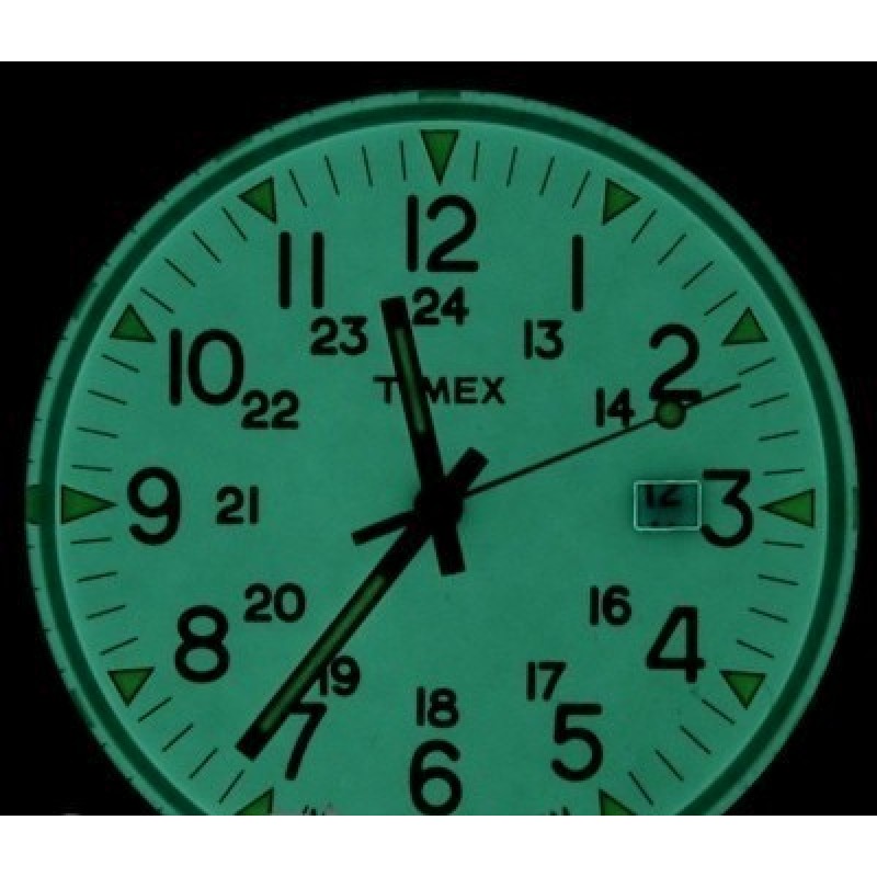 T2N875 Часы наручные Timex T2N875