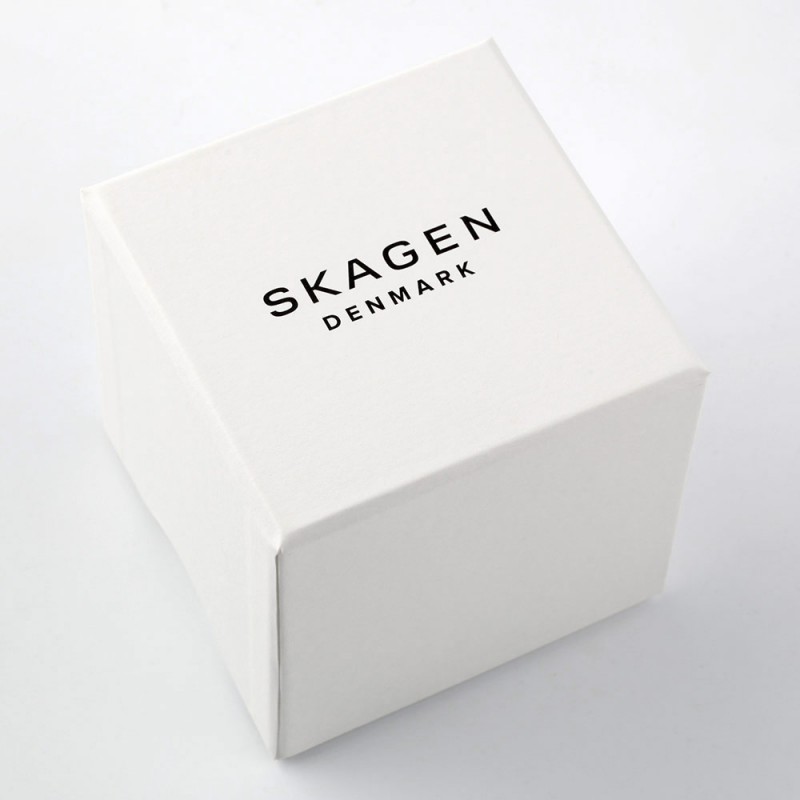 SKW6180  наручные часы Skagen "HOLST"  SKW6180