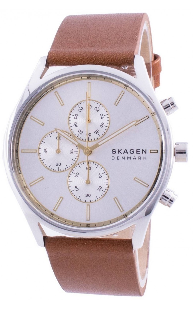 SKW6607  wrist watches Skagen "HOLST" for men  SKW6607