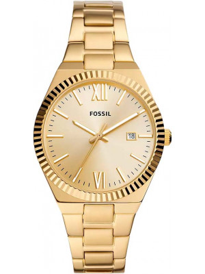Fossil Fossil  ES5299