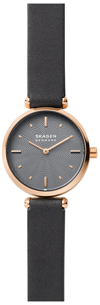 SKW2995  наручные часы Skagen  SKW2995