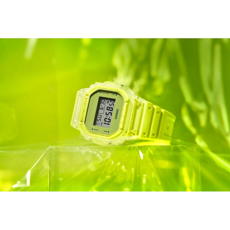 DW-5600GL-9  кварцевые наручные часы Casio "G-Shock"  DW-5600GL-9